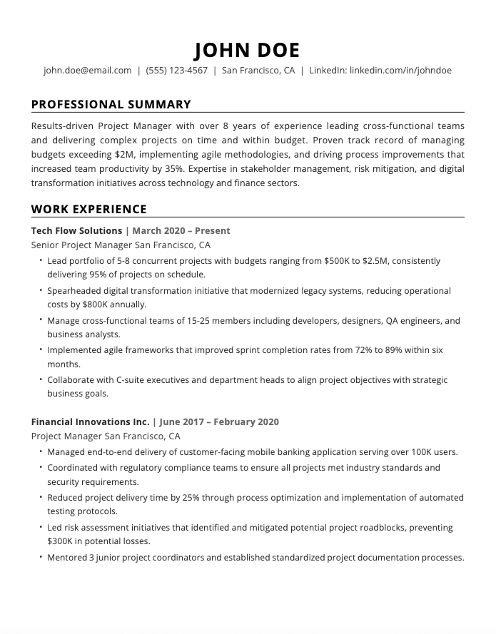 Basic Professional Resume Template