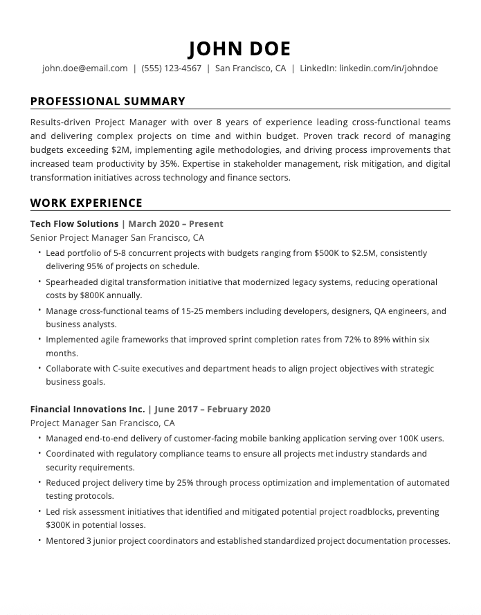 Basic Professional Resume Template